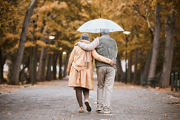 Image showing Elderly, couple walk in park with umbrella and fresh air, outdoor in nature in fall for exercise and retirement together. Hug, love and care with trees, senior man and woman in New York back view.