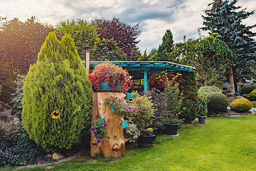 Image showing pergola with flowers in summer garden