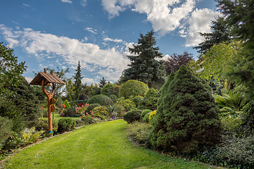 Image showing late summer in garden concept