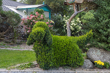 Image showing topiary garden bush cut into a dog shape