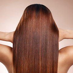 Image showing Woman, back or brunette hairstyle on studio background in keratin treatment, self love grooming or dye marketing. Model, touching hand or brown hair color on pink backdrop for Brazilian salon results