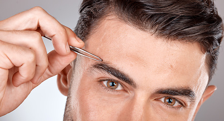 Image showing Man, eyebrow tweezers and eyes portrait for hair removal, skincare beauty and grooming wellness or hygiene cleaning in grey studio background. Model, cosmetics facial care and brows microblading