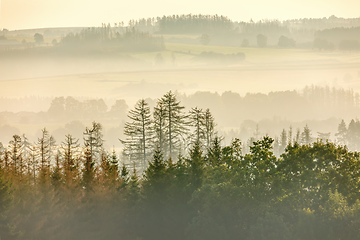 Image showing Autumn foggy and misty sunrise landscape