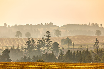 Image showing Autumn foggy and misty sunrise landscape