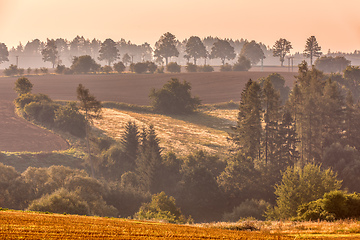 Image showing Autumn foggy and misty sunrise landscape