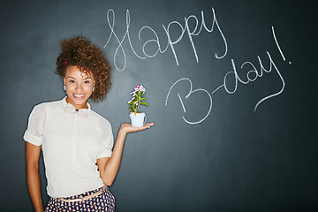 Image showing Black woman, studio portrait and holding plant with smile, beauty and celebration of birthday. Woman, teacher and writing wall for happy birthday, b-day and happiness with flowers for gift of growth