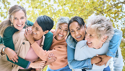 Image showing Friends, park and portrait of group of women enjoying bonding, quality time and relax in retirement together. Diversity, friendship and faces of happy senior females with smile, hugging and laugh