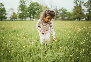 Image showing Girl child, field and flowers in nature, outdoor and learning for plants in backyard, park or woods. Young female kid, picking flower and adventure on grass lawn, spring or exploring ground by forest