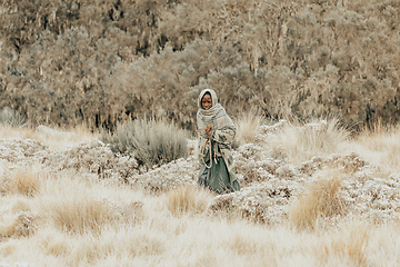 Image showing Ethiopian shepherdess girl, Simien Mountains, Ethiopia