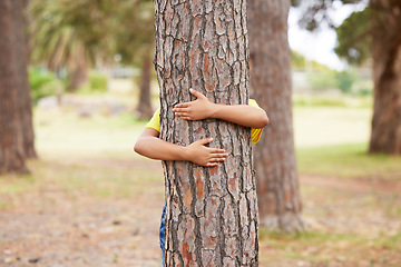 Image showing Earth day, sustainability and child with a tree hug for eco friendly environment in a park in Taiwan. Recycle, ecology and kid hugging a trunk in nature for clean energy, love and sustainable woods