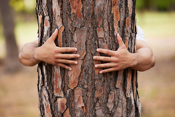 Image showing Environment, hands and man hug trees for save the planet, nature deforestation or community support project. Earth day sustainability, eco friendly NGO charity and volunteer protect natural growth