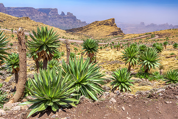 Image showing Semien or Simien Mountains, Ethiopia