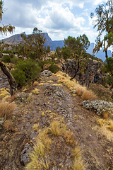 Image showing walking in Simien Mountain, Ethiopia wilderness, Africa