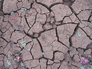 Image showing cracked desert drought