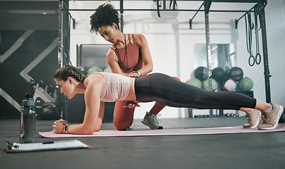 Image showing Fitness, plank or personal trainer at gym with woman for training, exercise or workout at health club. Women, focus or healthy sports athlete exercising with coach for progress, support or motivation