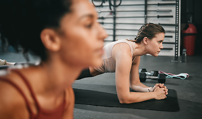 Image showing Woman, fitness and class in plank for core workout, exercise or training together at the gym. Women doing intense ab exercises balancing on mat for strong healthy upper body at the gymnasium