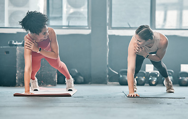 Image showing Gym floor, health and training woman doing arm plank exercise, performance workout or core muscle building. Body self care, commitment and wellness for team, people or friends fitness class ground