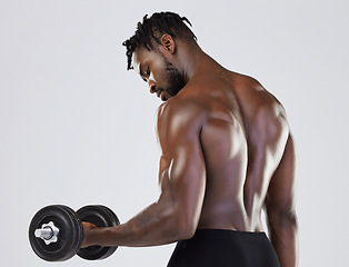 Image showing Fitness, exercise and strong black man training with weights for bicep muscle workout in studio. Body of a sports person or bodybuilder with dumbbell to train for power, health and wellness or growth