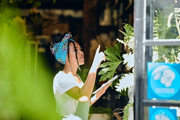 Image showing Green business, woman and checklist for stock, inventory and plant, shop and garden supplies. Black woman, sustainable business and quality control on clipboard, management and startup small business