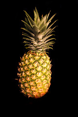 Image showing pineapple