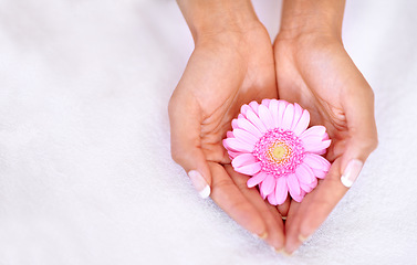 Image showing Beauty, flower and spa with hands of woman with mockup for skincare, wellness or natural cosmetics. Spring, peace and floral with girl holding fresh daisy in salon for treatment, blossom or self care