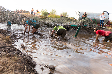 Image showing Athletes crawling through mud