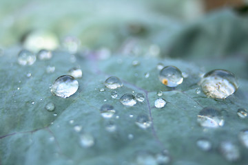 Image showing drops