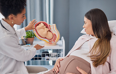 Image showing Pregnant, woman and doctor explanation with fetus in clinic for medical expertise and progress assessment. Baby, pregnancy and mom with black woman gynaecologist for update of growth development.