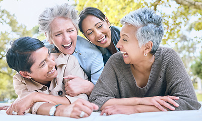 Image showing Wellness, happy and retirement women friends laugh in park for group bonding and relaxing lifestyle. Funny joke and smile of senior people in interracial friendship in nature together.