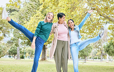 Image showing Senior, women and portrait of funny people or friends bonding in diversity being goofy in happiness. Smile, energy and elderly females having fun at a park and dancing in a group together