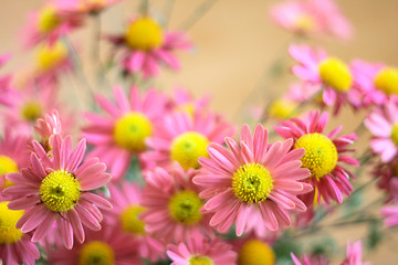 Image showing flower background