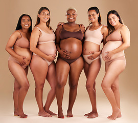 Image showing Pregnancy, diversity and portrait of friends in studio for community, motherhood and prenatal wellness. Maternity, love and pregnant women showing their baby bump stomach together by beige background