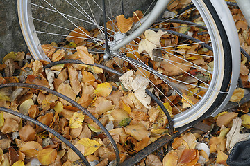 Image showing Autumn bike