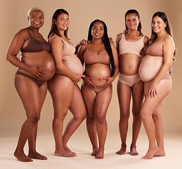 Image showing Pregnancy, women and portrait of friends in a studio for diversity, motherhood and prenatal wellness. Maternity, love and pregnant females showing their baby bump stomach together by beige background