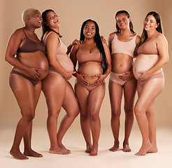 Image showing Pregnancy, community and portrait of friends in studio for diversity, motherhood and prenatal wellness. Maternity, love and pregnant women showing their baby bump stomach together by beige background