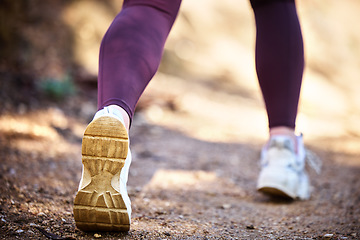 Image showing Running, health and shoes of woman in nature park for workout, fitness and cardio training. Wellness, sports and stamina endurance with girl runner jogging in forest for progress goals, exercise