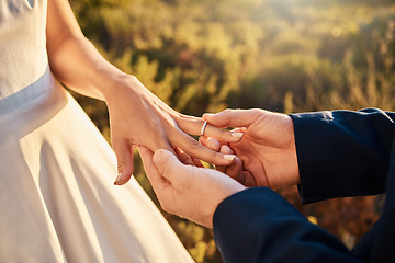 Image showing Hands, wedding couple and ring at ceremony outdoor with jewelry and save the date announcement. Engagement, love together and marriage of people in nature at life commitment and engagement event