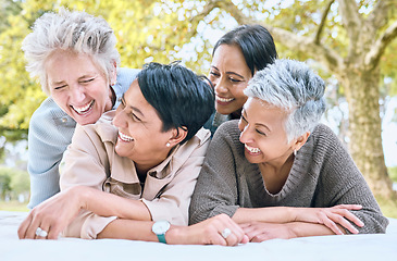 Image showing Funny women and picnic with retirement friends laughing at joke and bonding together for wellness. Happy, care and smile of senior people in interracial friendship at park for relaxed hangout.