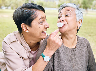 Image showing Senior women, bubblegum and couple of friends together outdoor for comic fun while happy on grass. People together in nature for bonding, happiness and relax on retirement holiday with support