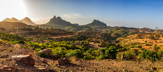 Image showing Ethiopian landscape, Ethiopia, Africa wilderness