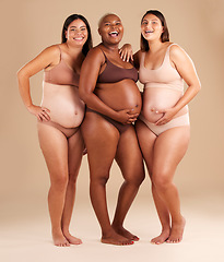 Image showing Pregnant body, portrait or laughing women on studio background in diversity empowerment, baby support and community. Smile, happy or pregnancy friends in underwear with stomach in funny or comic joke