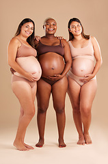 Image showing Pregnant, body and portrait of women in stomach support touch, hope and community diversity on studio background. Smile, happy and pregnancy friends in underwear, belly growth and healthcare wellness