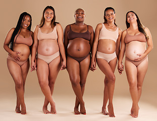 Image showing Pregnant, women or portrait of holding hands in support, body empowerment or studio background community. Happy smile, pregnancy or friends underwear for belly growth, diversity pride or mothers day