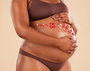 Image showing Pregnant woman, flowers and stomach in studio background of body, maternity and healthcare. Closeup abdomen, floral plants and pregnancy glow of mother, belly skincare and gynecology of natural birth