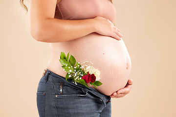 Image showing Pregnant woman, rose flowers and stomach in studio for body, maternity wellness and ivf healthcare. Closeup abdomen, floral plants and pregnancy of mother for baby belly, gynecology and natural birth