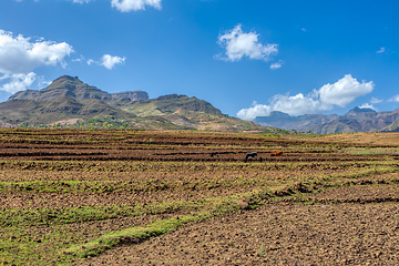 Image showing Ethiopian landscape, Ethiopia, Africa wilderness
