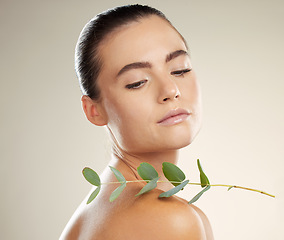 Image showing Woman, skincare and beauty with green plant on skin for natural dermatology for cosmetic product. Glow on face of aesthetic model in studio for sustainable cosmetics or makeup for health and wellness