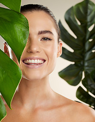 Image showing Beauty, skincare and woman portrait with green plant for natural skin dermatology cosmetic product. Happy face of aesthetic model in studio for sustainable glow or makeup for health and wellness