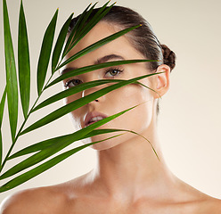 Image showing Woman, face and leaf for natural skincare, cosmetics or healthy facial beauty treatment. Portrait of beautiful female with organic plant, leafs or nature wellness for self love, care or perfect skin