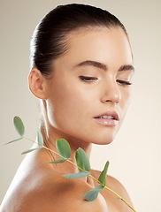 Image showing Skincare, woman and beauty with natural plant on skin for green dermatology for cosmetic product. Glow on face of aesthetic model in studio for sustainable cosmetics or makeup for health and wellness